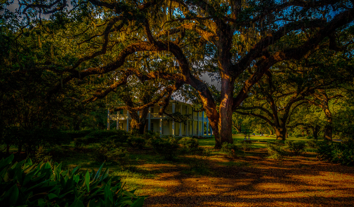 Late Afternoon in Eden